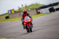 PJ-Motorsport-2019;anglesey-no-limits-trackday;anglesey-photographs;anglesey-trackday-photographs;enduro-digital-images;event-digital-images;eventdigitalimages;no-limits-trackdays;peter-wileman-photography;racing-digital-images;trac-mon;trackday-digital-images;trackday-photos;ty-croes